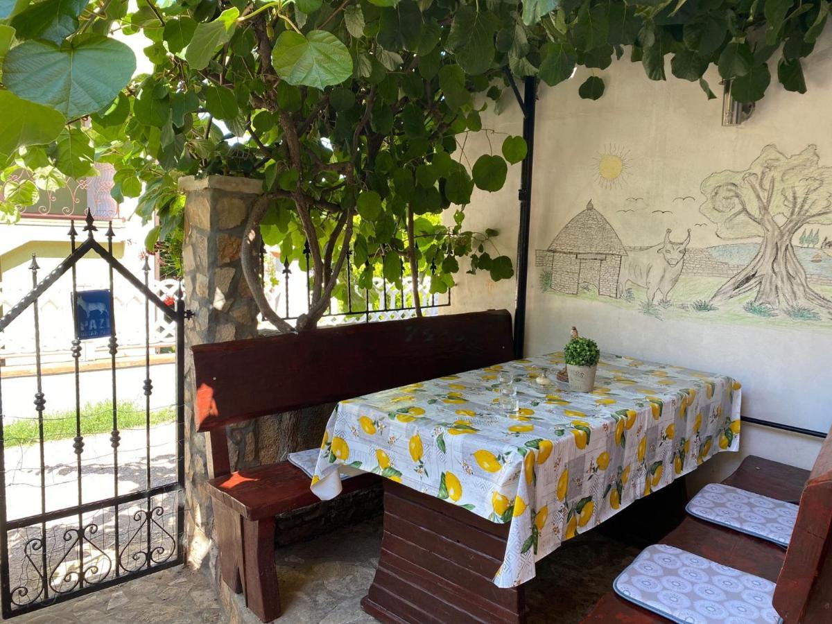 Studio Apartment Elsa Galizana Экстерьер фото